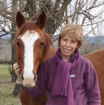 Image rêve de cheval 2