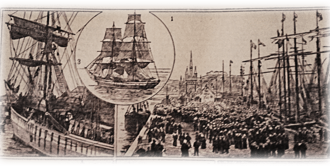 Bolinhos do Bacalhau